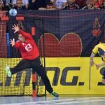 vardarfans-rk-vardar